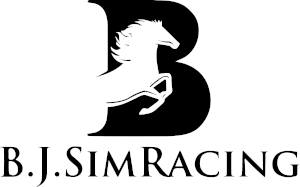 BJ Sim Racing
